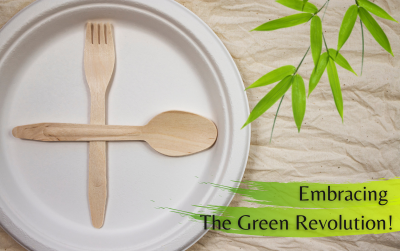 Why Bamboo Disposable Products Reign Supreme Among Eco-Friendly Choice ...